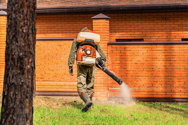 Trusted Termite Control service in Wrightsville, PA - Nex Pest Control